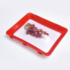 Eco Food Preservation Tray